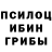 Псилоцибиновые грибы Magic Shrooms beata pyka