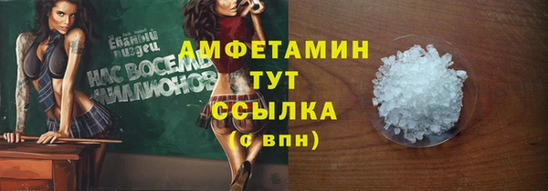 ПСИЛОЦИБИНОВЫЕ ГРИБЫ Богданович