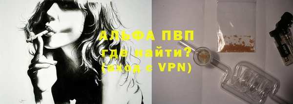 ПСИЛОЦИБИНОВЫЕ ГРИБЫ Богданович