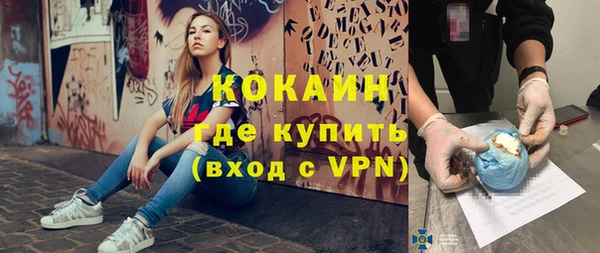 ПСИЛОЦИБИНОВЫЕ ГРИБЫ Богданович