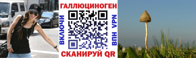 Галлюциногенные грибы Cubensis  закладка  Тосно 